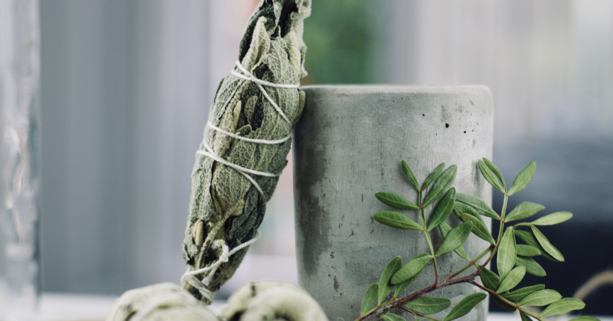 Sage is used in natural healing for purification.