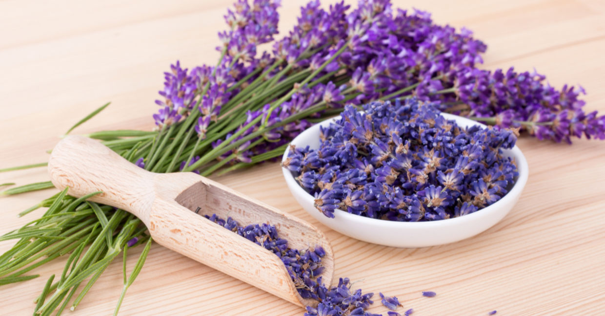 Lavender is known to soothe and heal.