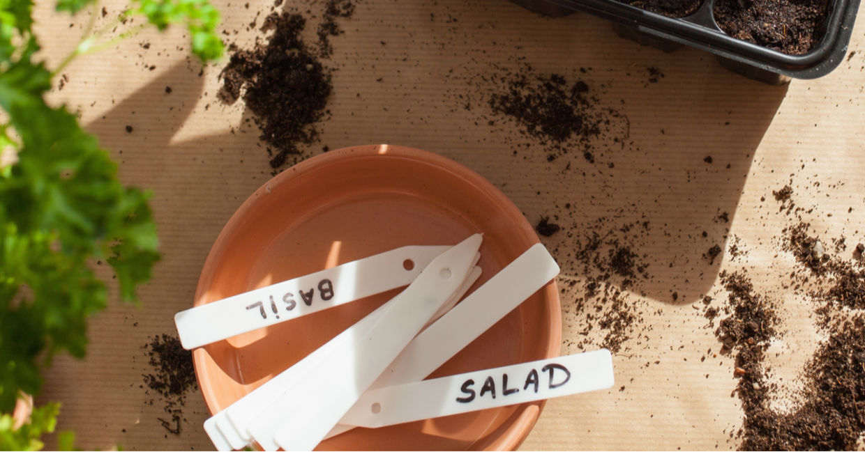 Using plastic labels when planting seeds.