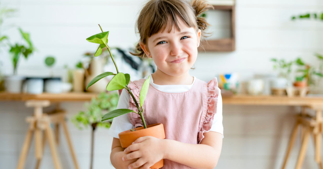 Cute kid holding a potted plant.