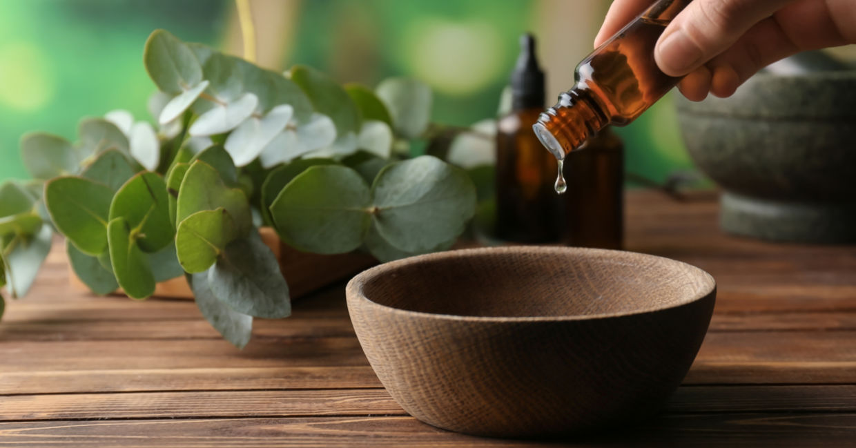 Eucalyptus essential oil can open your sinuses.