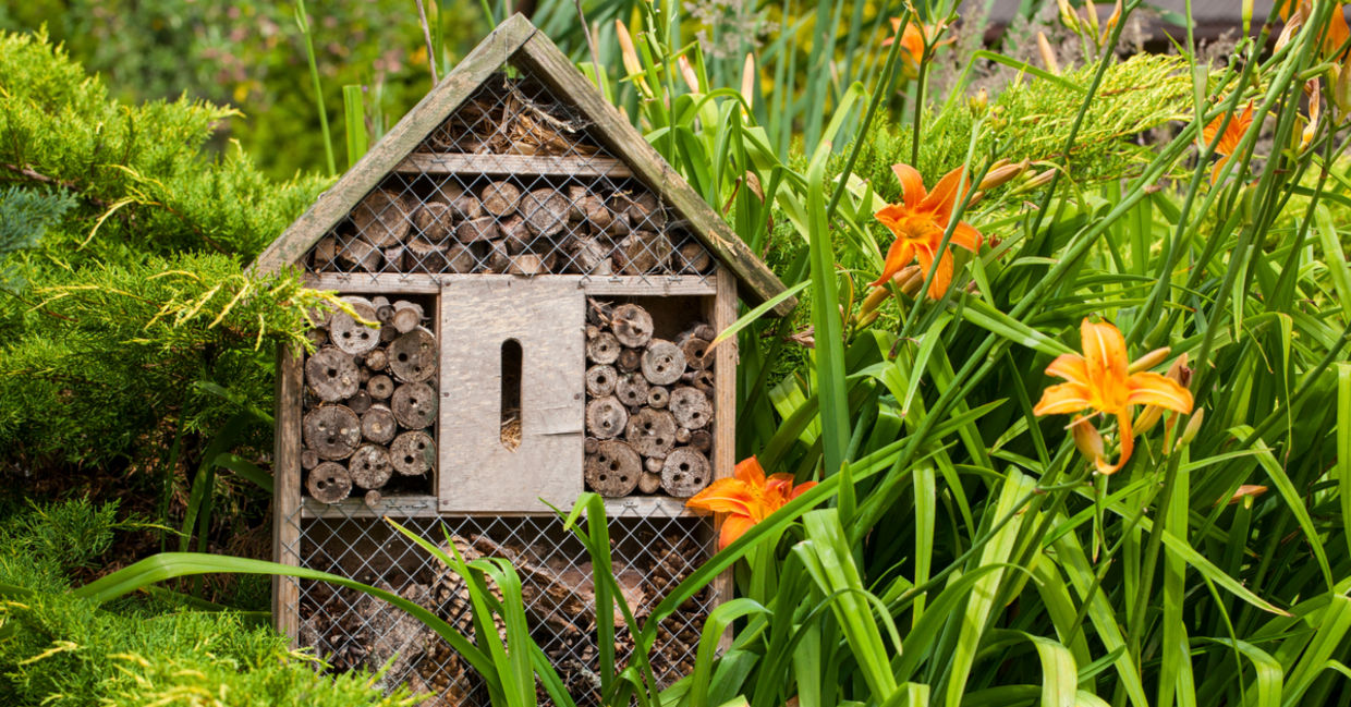 A bee hotel in a garden hosts pollinators.