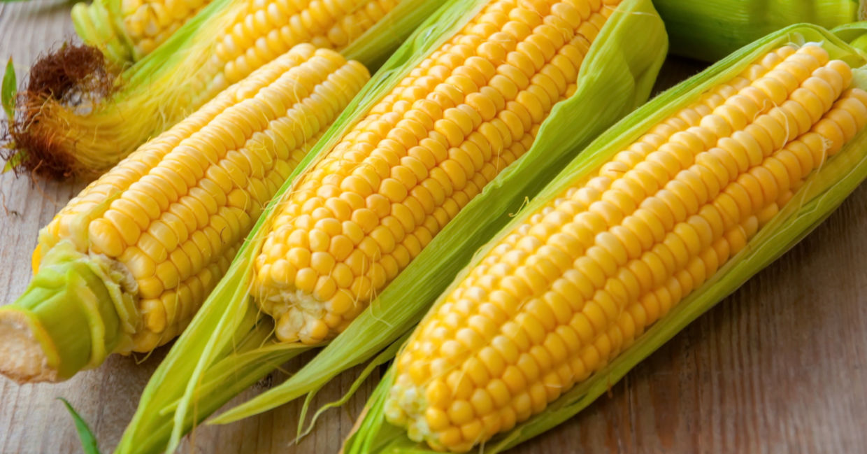Sweet corn is delicious and good for you.