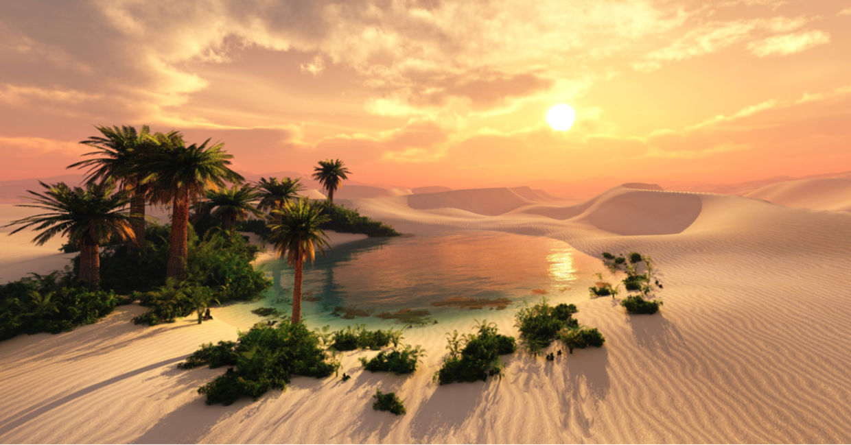 A lush oasis in a parched, sandy desert.
