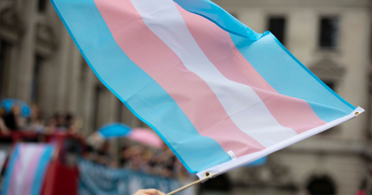 Waving the transgender flag at a Gay Pride parade.