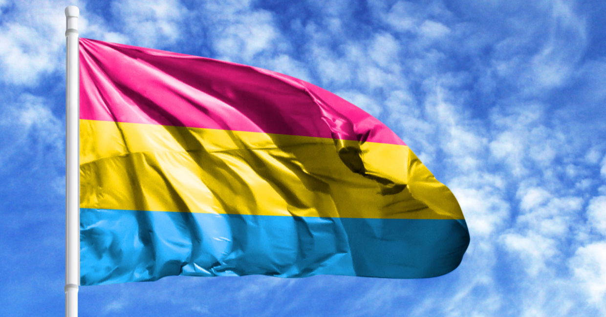 Flying the pan sexual flag on a flagpole.