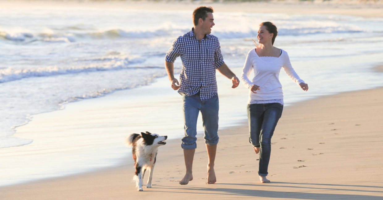 A couple runs along the beach with their dog.