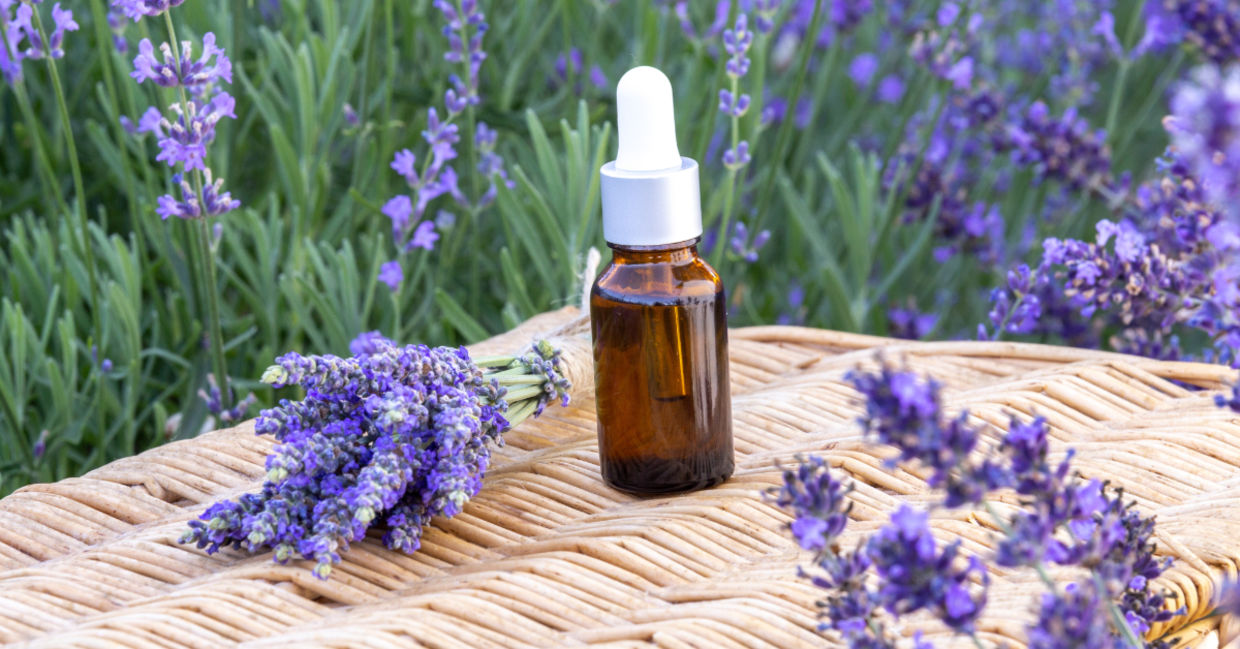Lavender essential oil can calm you.