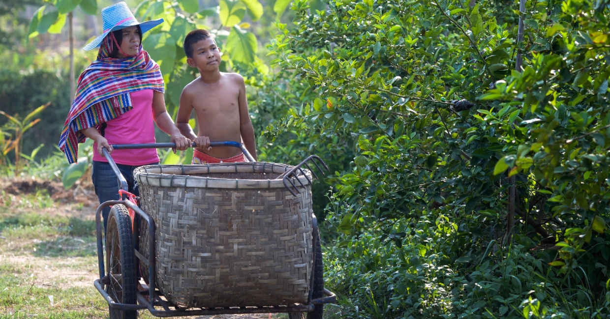 Walking in the garden.