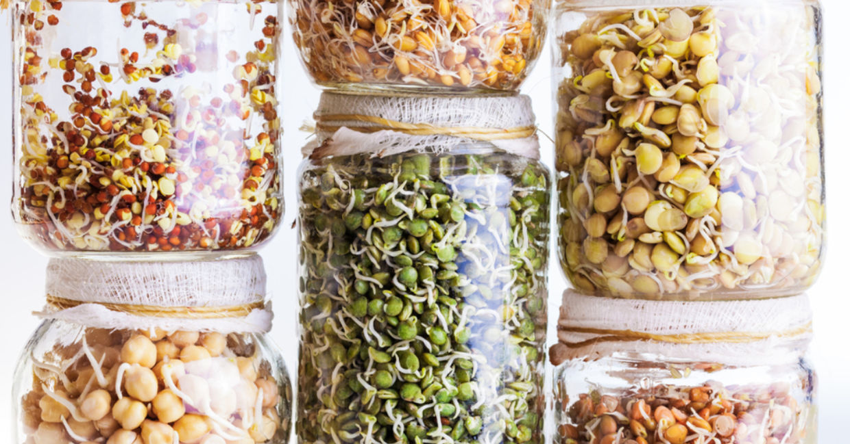 A selection of seeds sprouting in a jar.