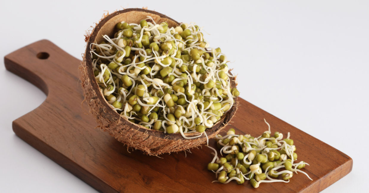 Sprouted mung beans.