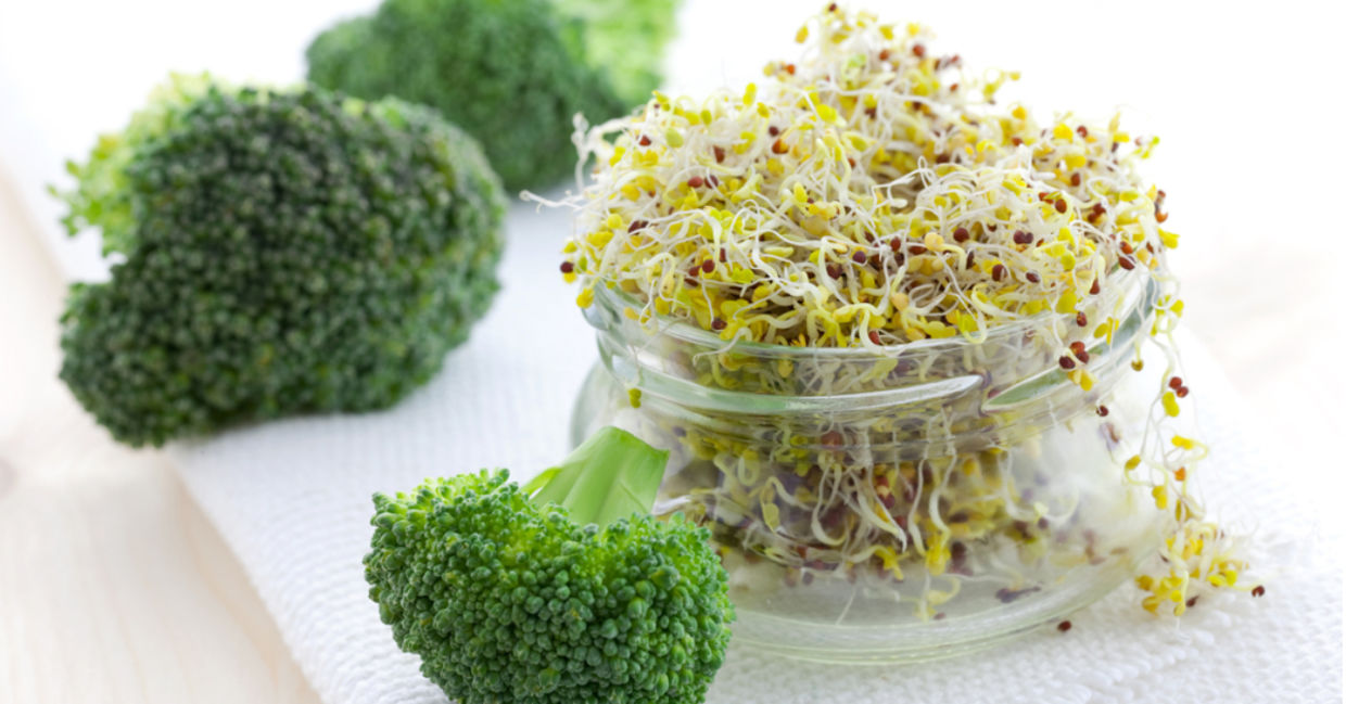 Fresh broccoli sprouts in a glass jar.