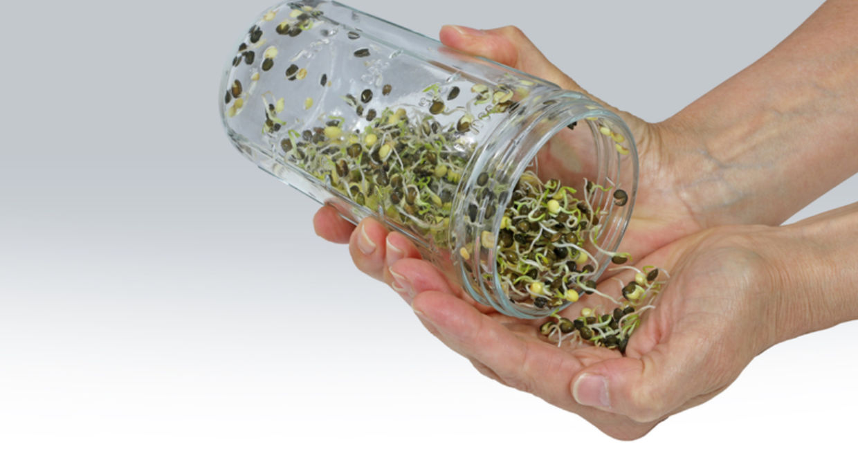 Holding a jar of lentil sprouts.