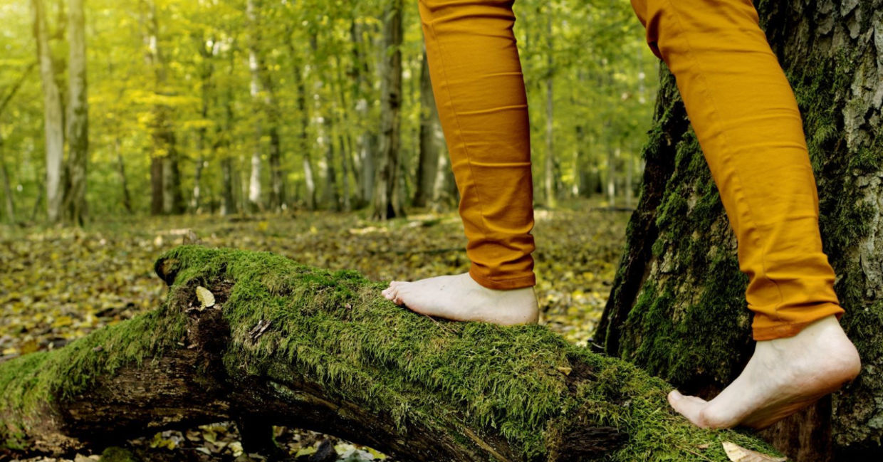 Forest bathing is awe inspiring.