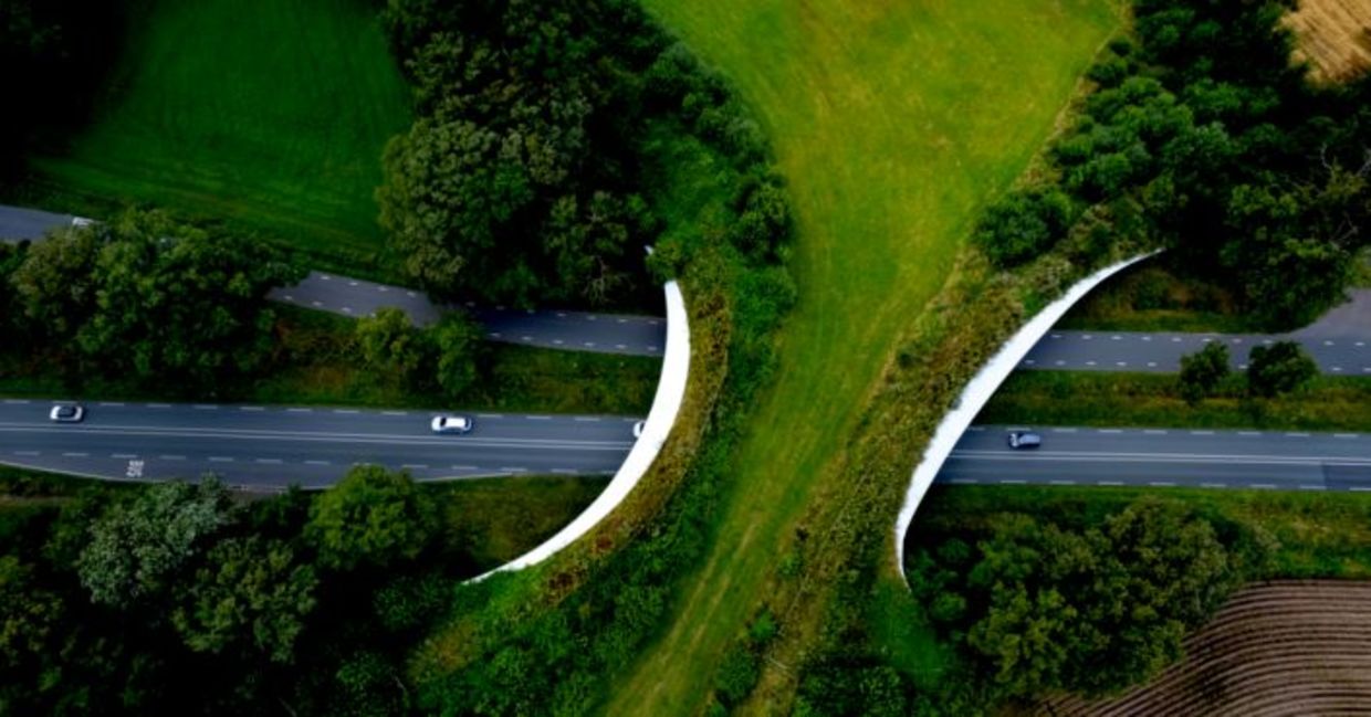 Freeway passing underneath wildlife crossing forming a safe natural corridor bridge for animals to migrate between conservancy areas.