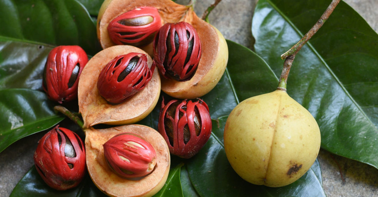 Nutmeg seeds are used whole or ground into a powder.
