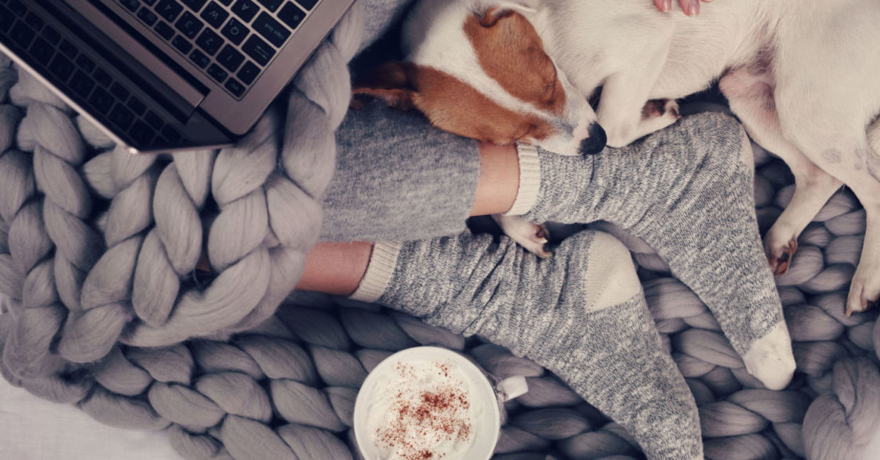 Elements of a snuggery: a warm blanket, a cuddly lap dog, and a steaming cafe au lait.