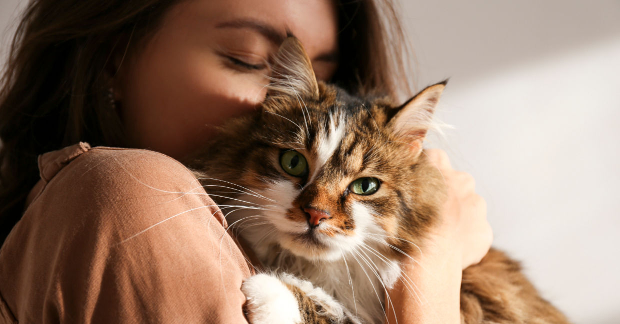 Woman cuddling a cute cat.