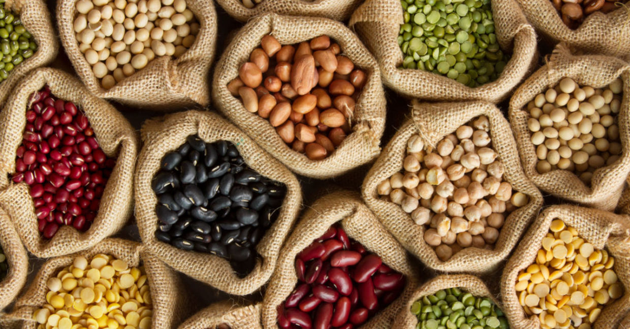 Legumes are a nutrient-dense plant-based protein.
