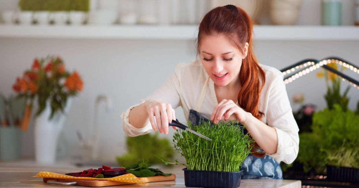 Woman cutting microgreens to use in a meal.