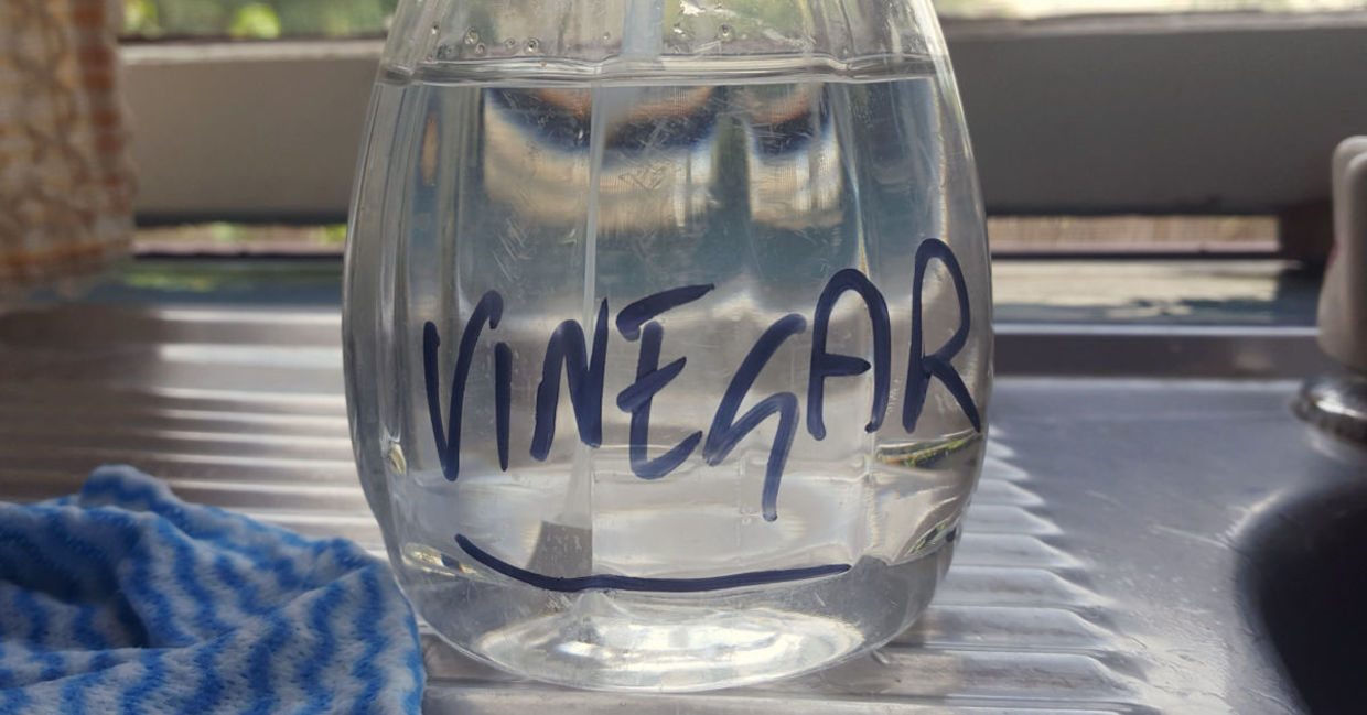 Vinegar is a strong odor remover.