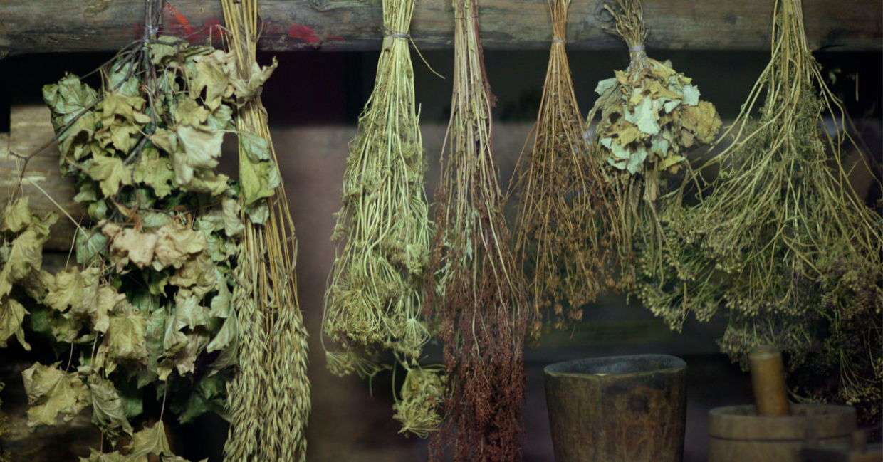 Bundles of herbs drying in the air.
