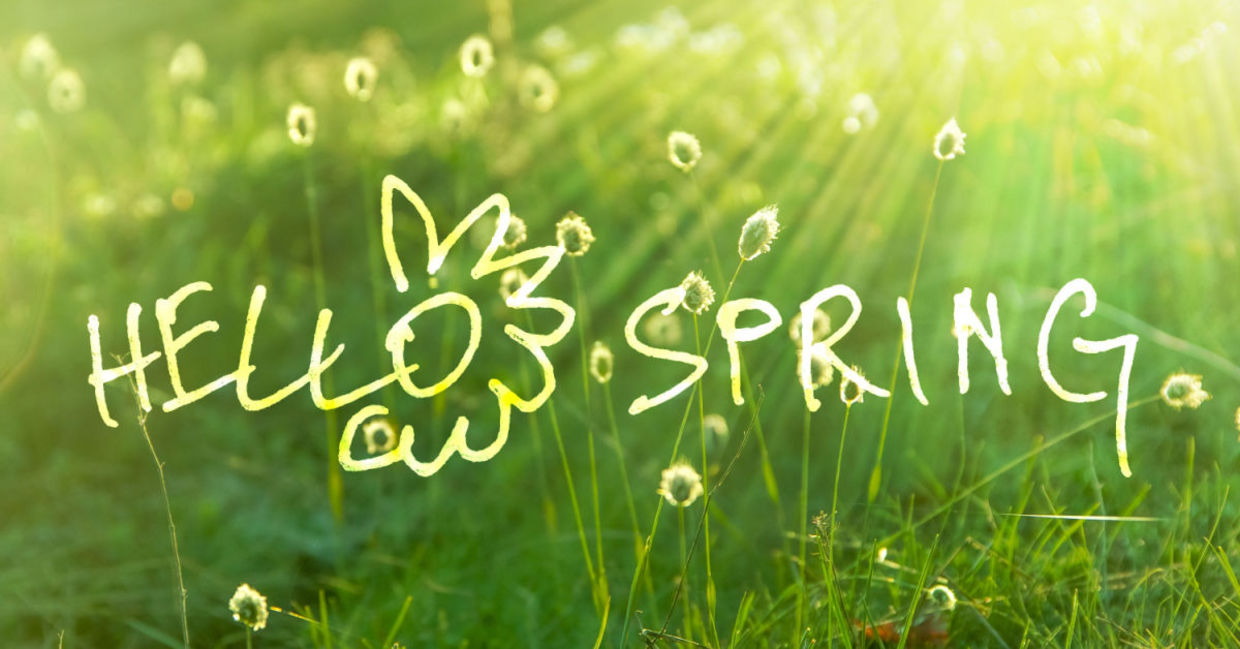 Welcome spring.