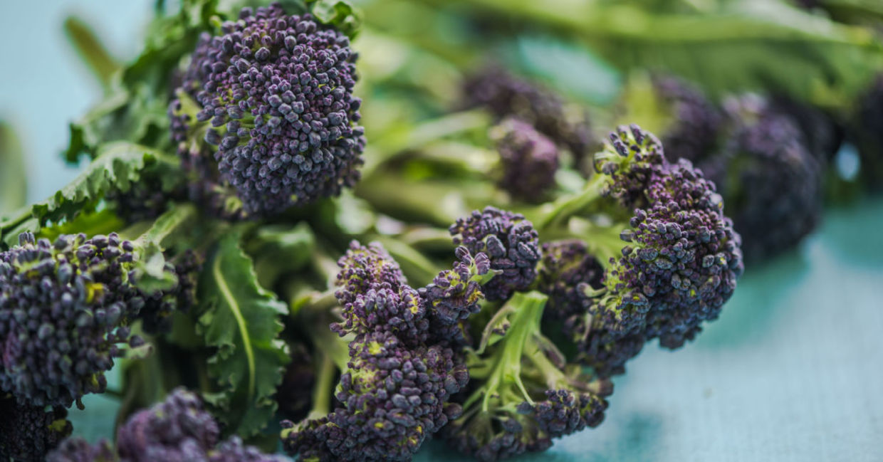 Purple broccoli.