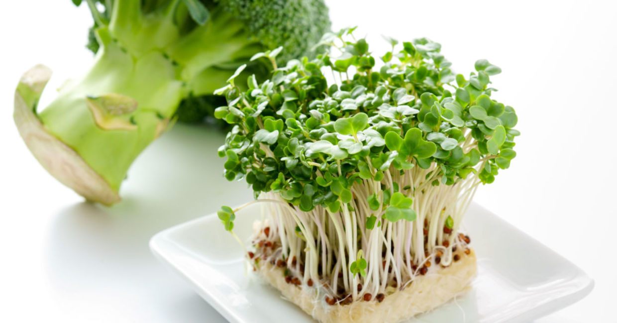 Broccoli sprouts are good for you.