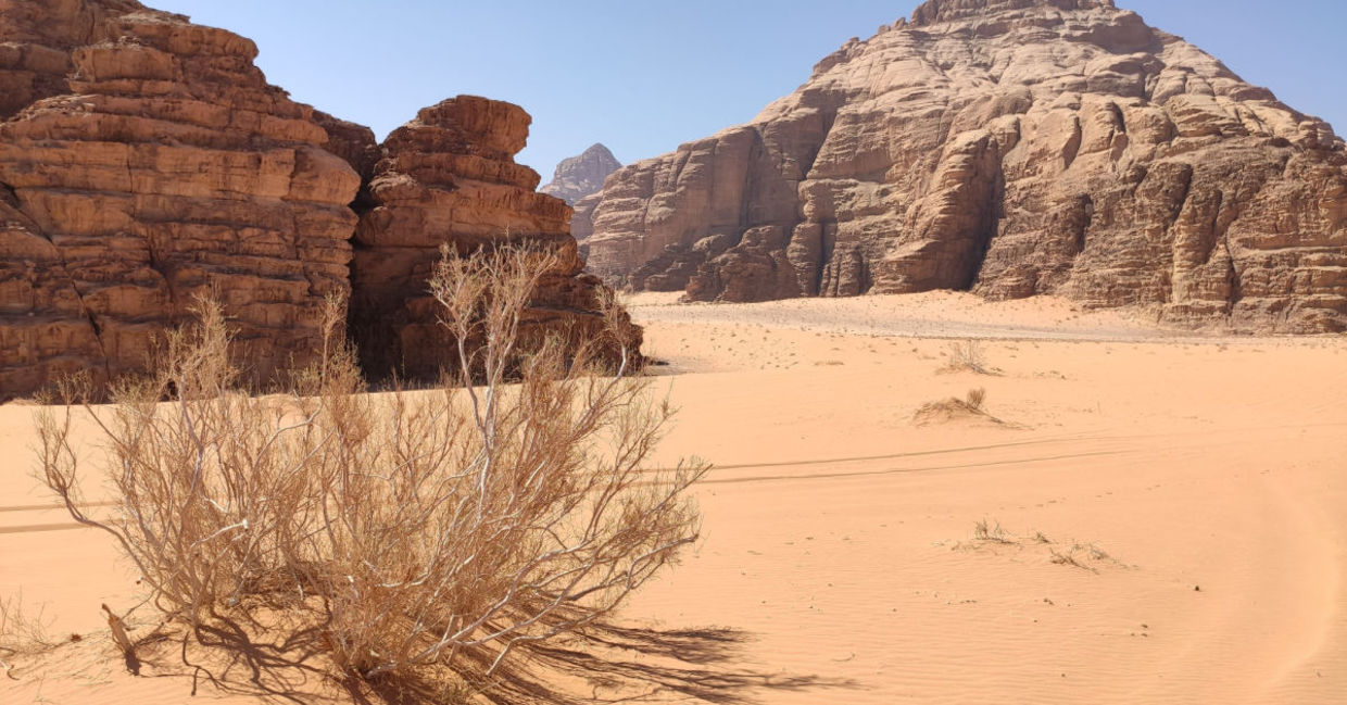 Jordanian desert.