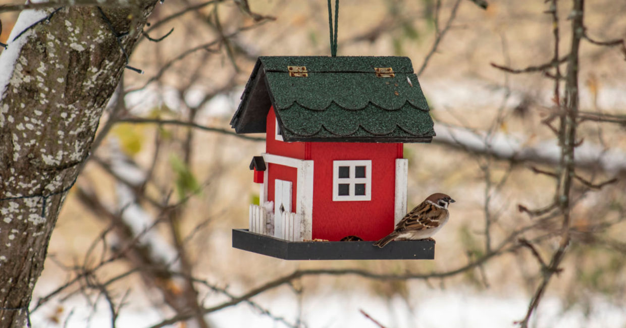 Having a birdhouse in your yard is good for the birds and for you.
