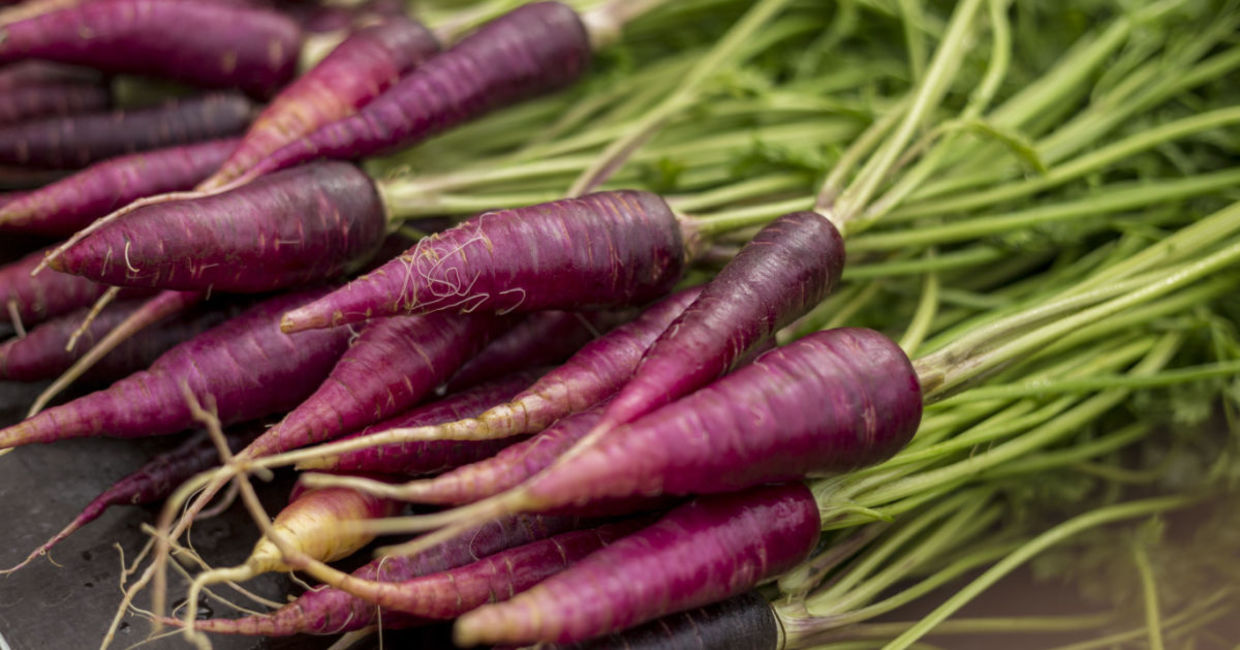 Eating purple carrots helps to reduce the risk of heart disease.