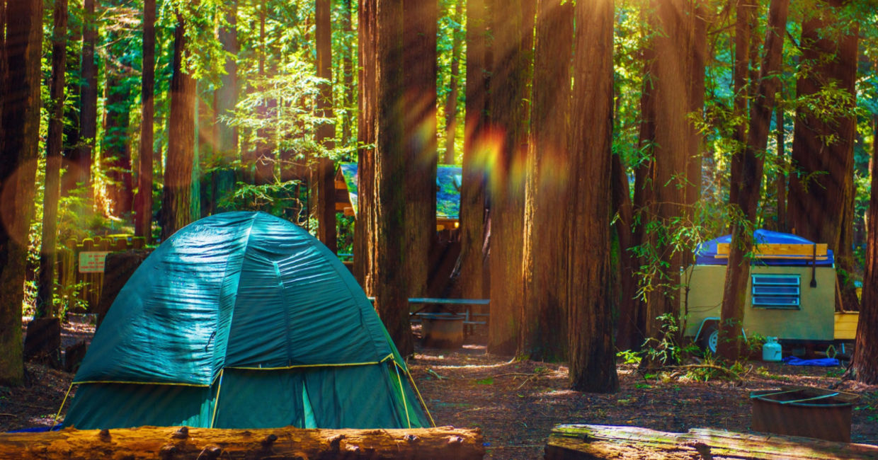 Tent camping at Redwood National Park.