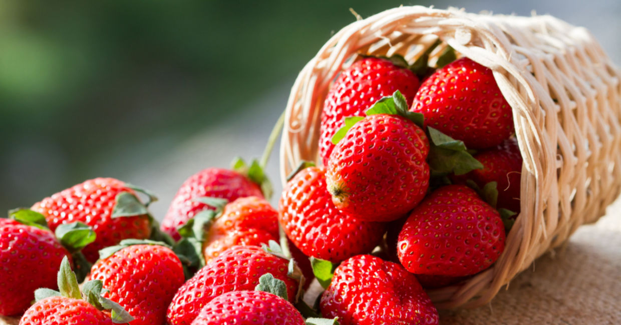 Just picked strawberries in a basket