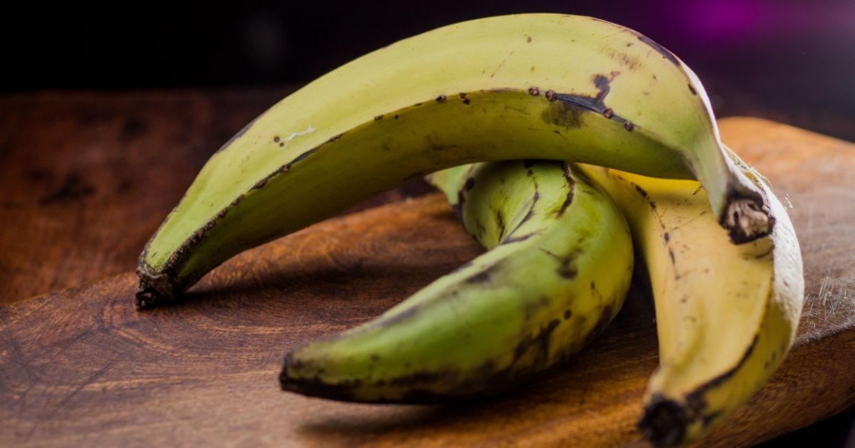 Plantain bananas must be cooked before eating.