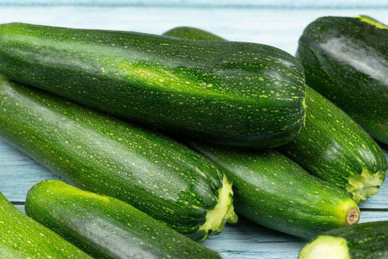 Just picked zucchini.