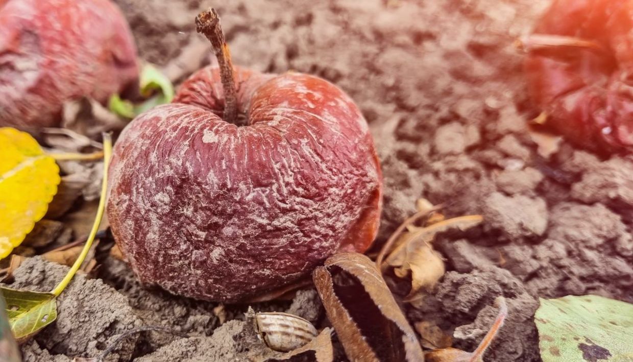 See the good in people.