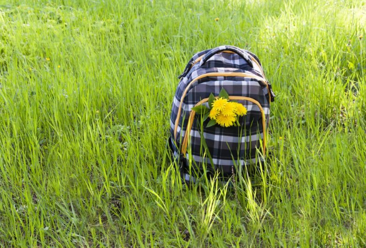 A school backpack decorated with dandelions stands among the fresh high grass during a hike.