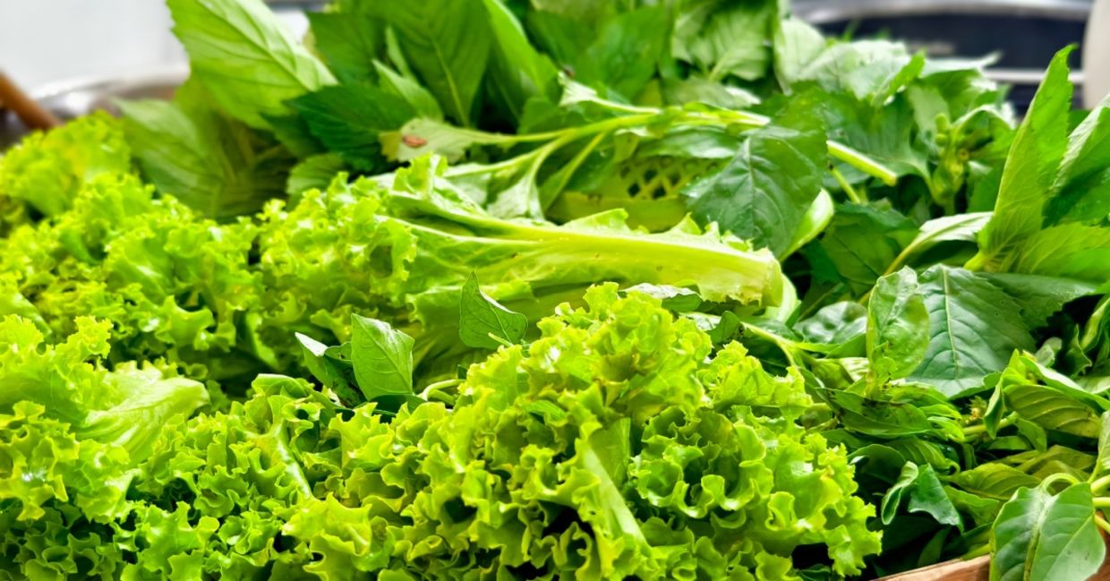 Salad greens contain calcium.
