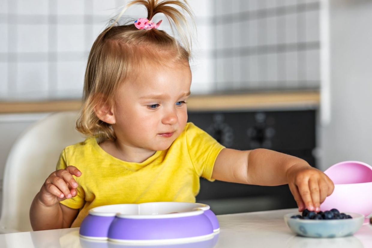 Eating Blueberries Could Reduce Allergies in Babies