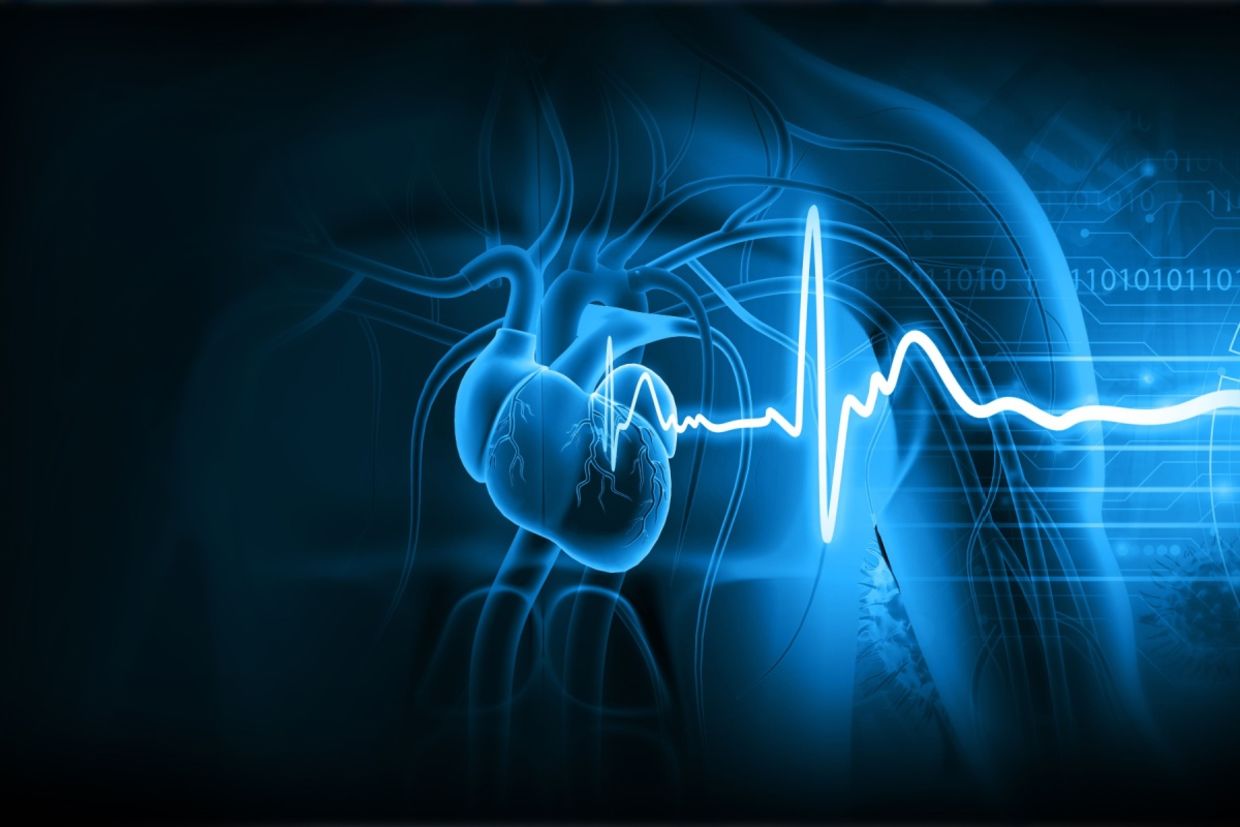 An illustration of a human heart with an ECG (electrocardiogram) graph.