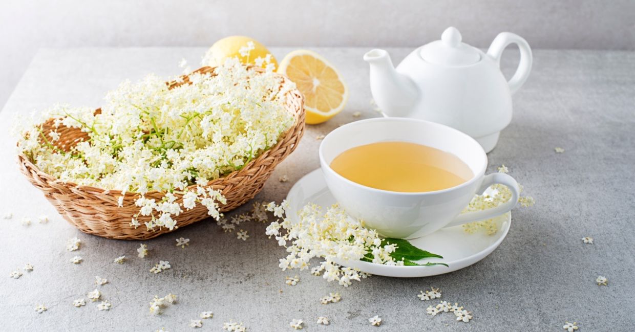 Enjoy a cup of elderflower tea.