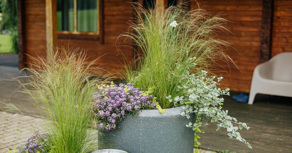 A patio planter filled with ornamental plants.
