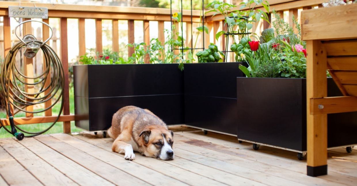 Enjoying the outside living space.