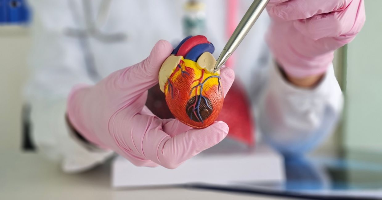 Cardiologist explaining heart disease to a patient.
