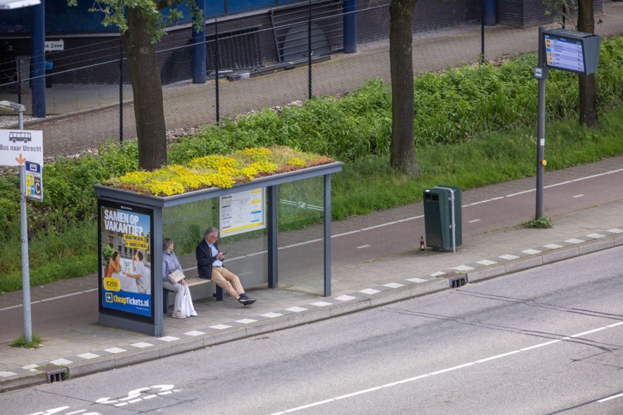 A bus stop in the Netherlands that is a haven for pollinators.