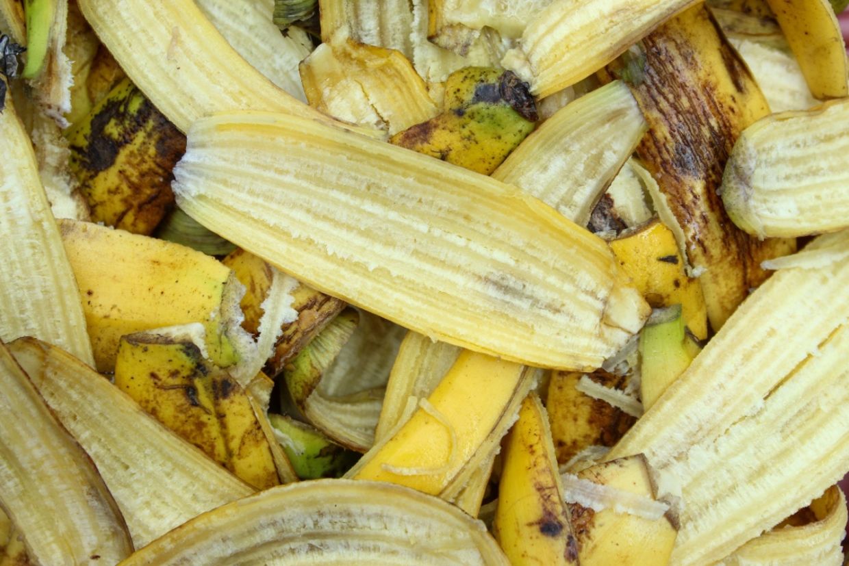 A close up of banana peel.