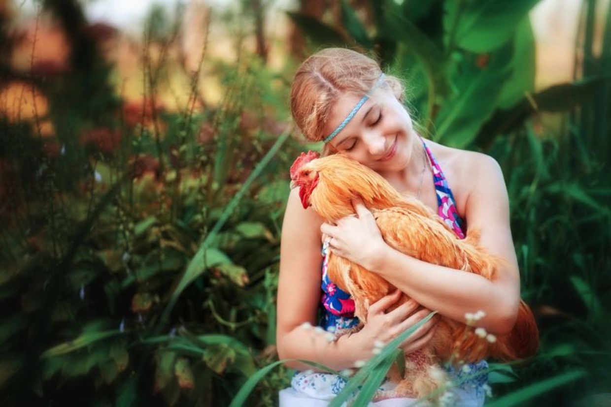 A teenage girl lovingly holds a chicken.