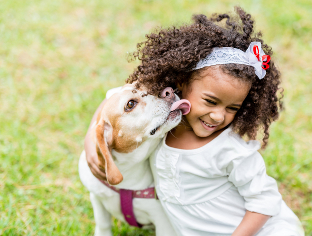 dog dog licking a little girl's face