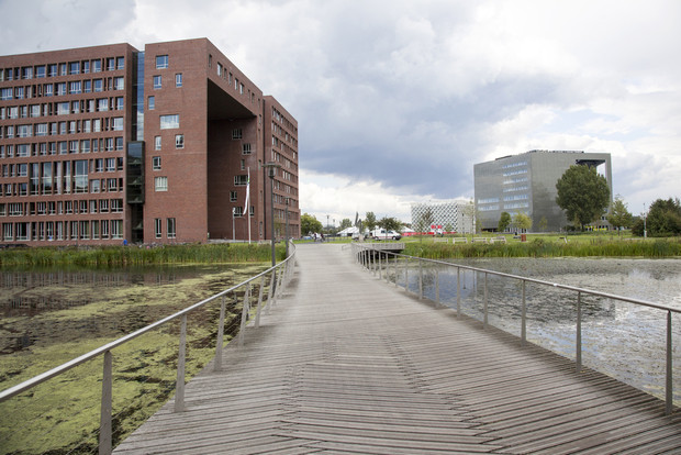 Wageningen Wageningen University over the bridge, Modern waterfront development with wooden boardwalk, red brick apartment buildings, glass structures, and natural wetland areas along a canal.